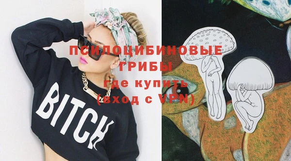 apvp Алзамай