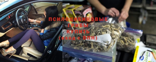 ГАЛЛЮЦИНОГЕННЫЕ ГРИБЫ Абинск