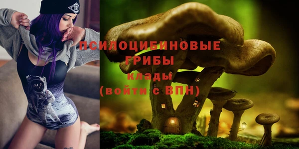 ГАЛЛЮЦИНОГЕННЫЕ ГРИБЫ Абинск
