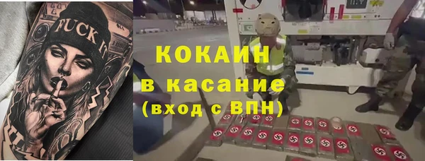 apvp Алзамай