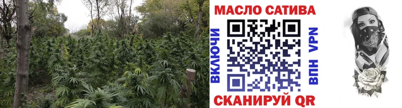 ТГК гашишное масло  что такое наркотик  Балахна 